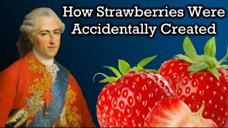 The Unbelievable History of Strawberries