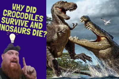 Why did Crocodiles Survive and Dinosaurs Die?