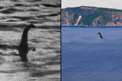 Loch Ness Monster Existence 'Plausible' After Incredible Discovery
