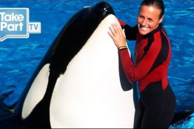 Death at SeaWorld Eyewitness Interview with Jessica Wilder | The Cove | TakePart