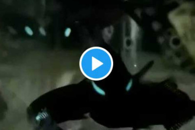 Incredible eyes of these flashlight fish. Watch this video to the end .These fish have the ability to create blink patterns like a visual Morse code to communicate and coordinate