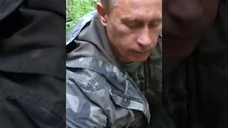 Vladimir Putin put a GPS collar on tiger🇷🇺After the Tiger was Tranquilised🐯Project to save tiger🐯💝👌👌