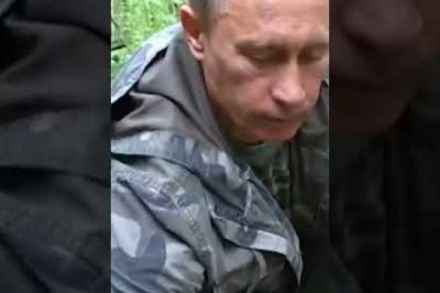 Vladimir Putin put a GPS collar on tiger🇷🇺After the Tiger was Tranquilised🐯Project to save tiger🐯💝👌👌