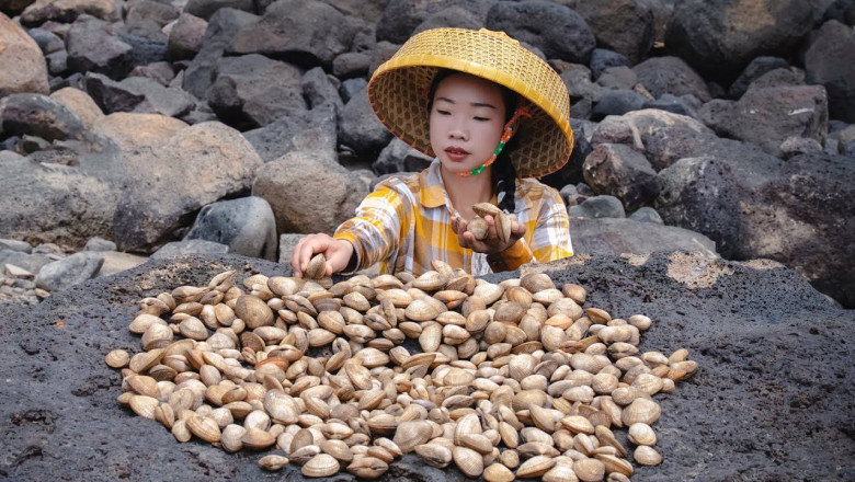 No refrigerator, cooking Chinese food with clam meat, and preserving clam meat for a year