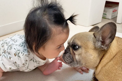 Memories That Nearly Made Me Cry | My Dog Loves Our Baby