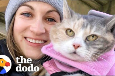 Woman Adopts Her Grandparent’s Grumpy Cat And Then Has The Best Idea