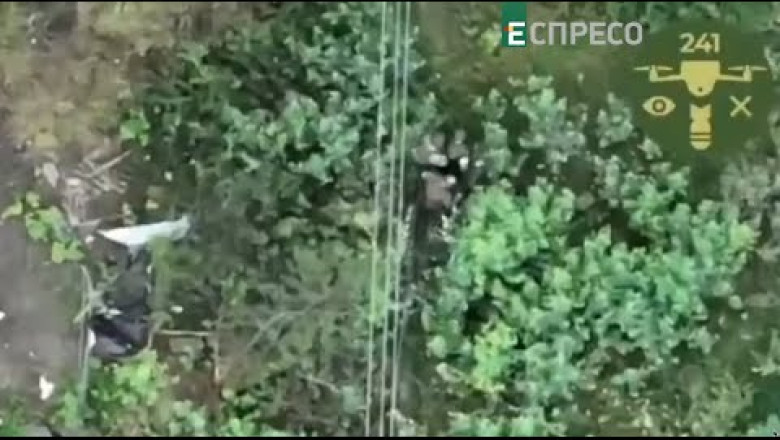 Russian flee! Drones are flying! Frightened invaders run like cockroaches
