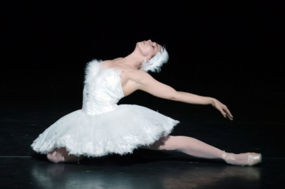 The Dying Swan – Natalia Osipova (The Royal Ballet)