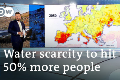 Europe's farmers look to a future of long-term drought | DW Business