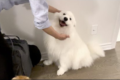 When grandma comes back from a long trip  l  Time to say good bye to Sarang and Ruby