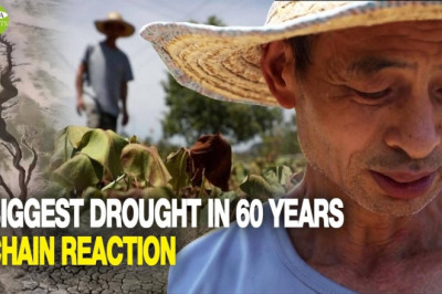 Economy is hit: Extreme heat & drought in the south, floods in the north, as Yangtze River runs dry