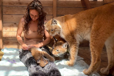 LYNX CUBS and their first manicure