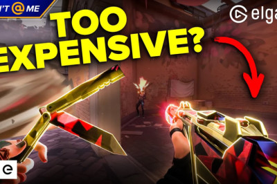 Do Valorant Skins Cost Too Much?