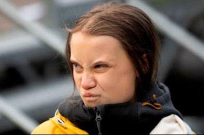 ‘Obsessed with doom’: Greta Thunberg has ‘gone bust’