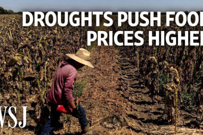 How Extreme Droughts Are Fueling Food Inflation | WSJ