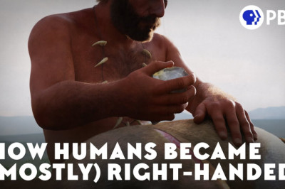 How Humans Became (Mostly) Right-Handed