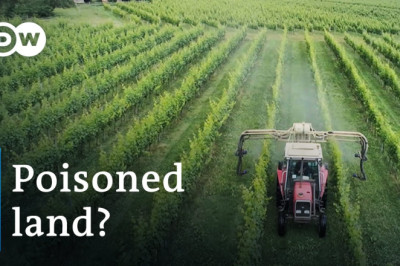 Is Parkinson's disease related to pesticide use? | DW Documentary
