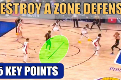 How to DESTROY a ZONE DEFENSE - Basketball Offense Breakdown Concepts