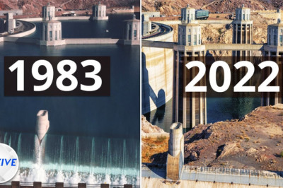 Why Lake Mead is Running Out of Water