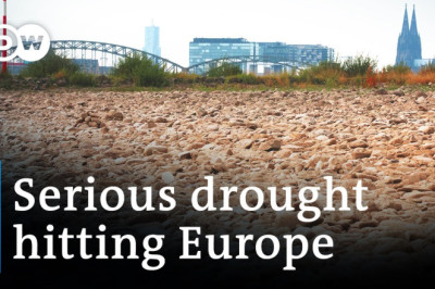 Europe's rivers are running dry as the climate crisis worsens | DW News