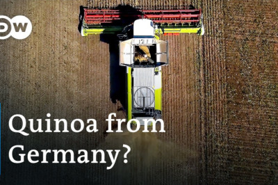 German farmers plant new crops to meet new climate challenges | Focus on Europe