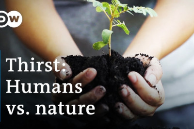 What happens when our water dries up? | DW Documentary