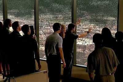 When Locusts Start Attack People, They Assume That This Thick Glass Will Protect Them