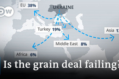 Putin threatens to pull out of grain deal ahead of meeting Turkey's Erdogan | DW News