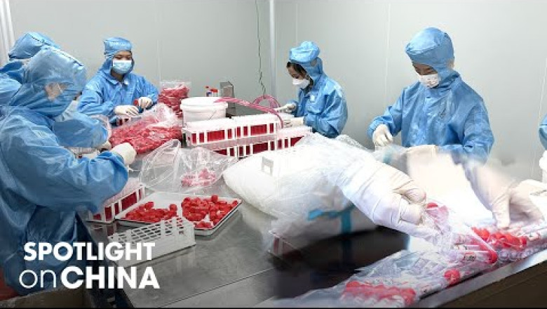 Over 4,800 companies in China release worst half-year reports; nucleic acid firms' profits soar