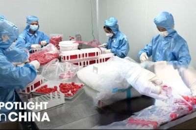 Over 4,800 companies in China release worst half-year reports; nucleic acid firms' profits soar