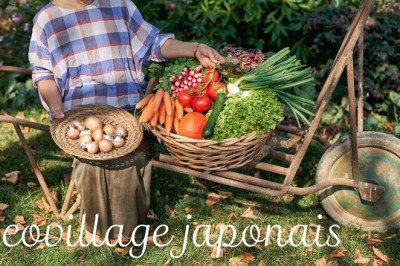 Creating a Japanese 'village' in France / Living in Paris vlog