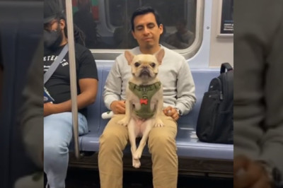 The funniest pet that will make you 10 years younger