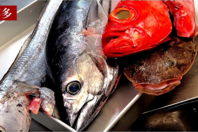 Fukuoka, Japan / Delicious fresh fish and sushi restaurant