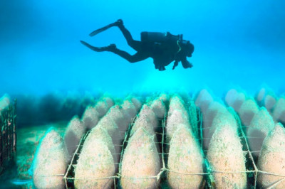 This Discovery Underwater Scares Scientists