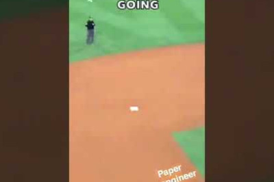 This baseball fan threw the greatest paper plane ever 😂 (via crazywill02/TT)