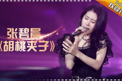 THE SINGER 2017 Zhang Bi Chen 《Nutcracker》