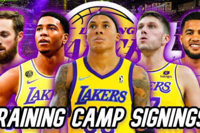 Meet the Lakers NEWEST Free Agent Addition! | + Why They are Signing/Waiving Training Camp Players