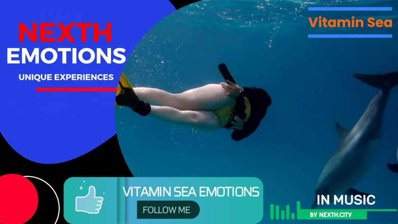 Nexth City | [Vitamin Sea] Will you dive with me?