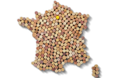 Explore France With These 15 Wines - Tasting Table