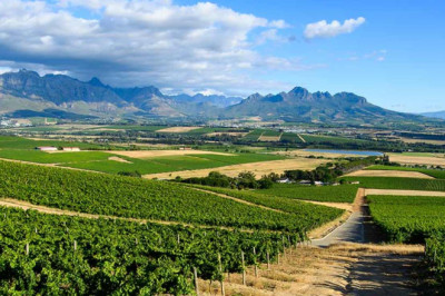 Grands Chais de France purchases historic Stellenbosch winery - Decanter
