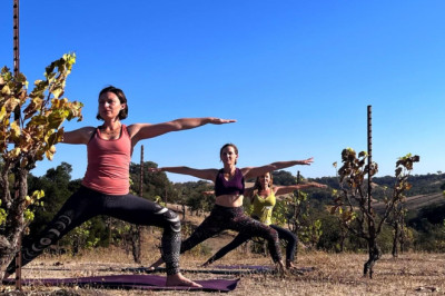 How The Wine And Yoga Movement Started In The U.S. And Spread To France And Italy
