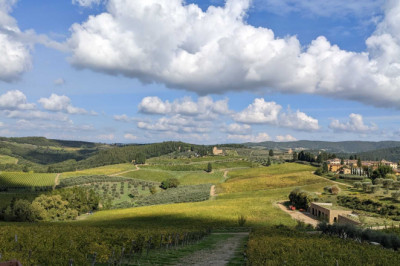 What really makes California wine different from European wine?