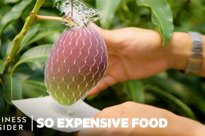 Why Miyazaki Mangoes Are So Expensive?