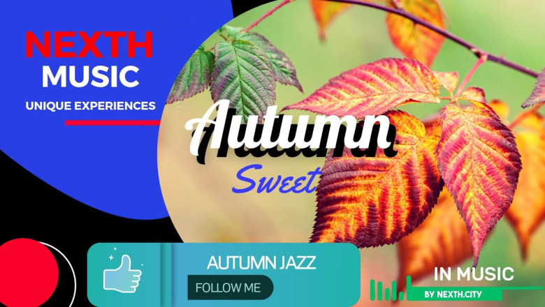 [Autumn Jazz] 🍁🍁🍁🍂🍂🍂 Wind with slightly cool, fallen leaves are rustling, autumn is the season for jazz.