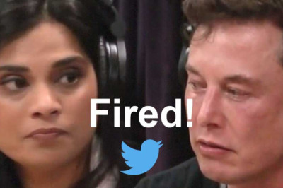 Meme Elon Musk Fires Twitter's Vijaya Gadde ON AIR!