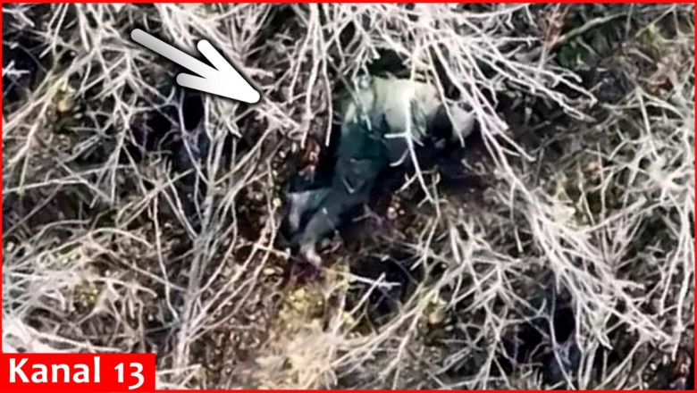 Dramatic moment Time to wake up - a great morning call for a sleeping Russian from a drone