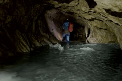 Most Expensive Honey - Cave Honey -