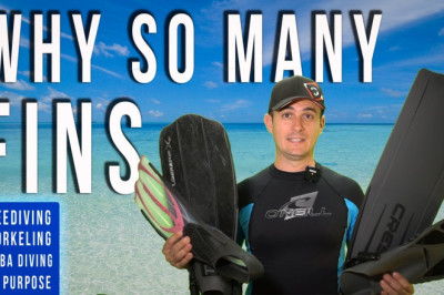 4 Types of Swim Fins Explained - Snorkeling vs Scuba Diving vs Freediving