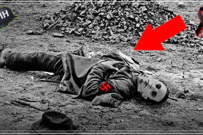 What they NEVER TOLD you about the D3ATH of Joseph Goebbels