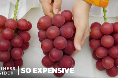 Why Japanese Ruby Roman Grapes Are So Expensive